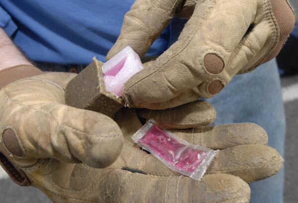Oral rabies sales vaccine for dogs